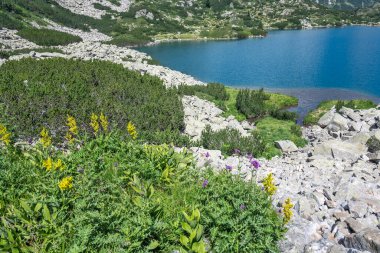 Amazing Summer view of Pirin Mountain around Fish Banderitsa Lake, Bulgaria clipart