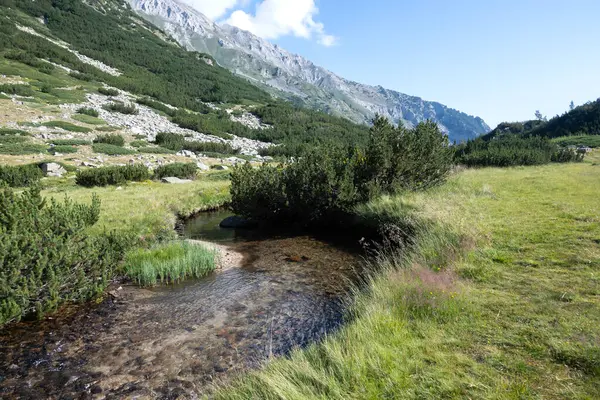 Bulgaristan 'ın Banderitsa Gölü çevresindeki Pirin Dağı' nın şaşırtıcı yaz manzarası