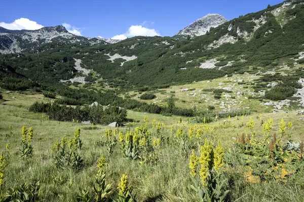 Bulgaristan 'ın Banderitsa Gölü çevresindeki Pirin Dağı' nın şaşırtıcı yaz manzarası