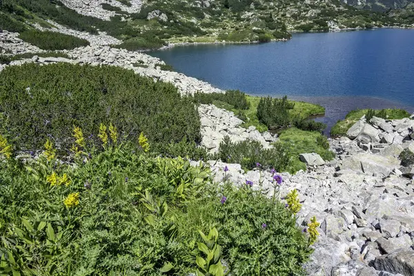 Stock image Amazing Summer view of Pirin Mountain around Fish Banderitsa Lake, Bulgaria