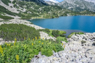 Bulgaristan 'ın Banderitsa Gölü çevresindeki Pirin Dağı' nın şaşırtıcı yaz manzarası