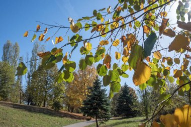 Bulgaristan 'ın Sofya kentindeki South Park' ın şaşırtıcı sonbahar manzarası