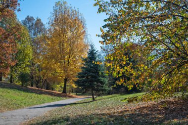 Bulgaristan 'ın Sofya kentindeki South Park' ın şaşırtıcı sonbahar manzarası