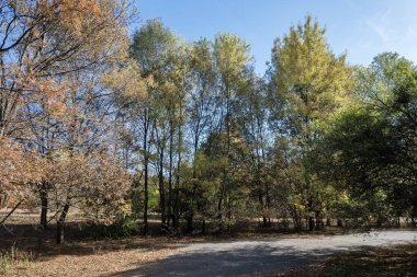 Bulgaristan 'ın Sofya kentindeki South Park' ın şaşırtıcı sonbahar manzarası