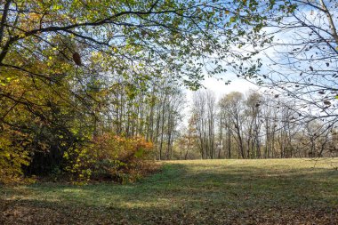 Bulgaristan 'ın Sofya kentindeki South Park' ın şaşırtıcı sonbahar manzarası