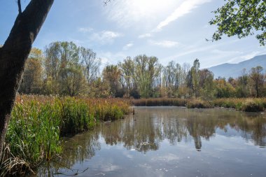 Bulgaristan 'ın Sofya kentindeki South Park' ın şaşırtıcı sonbahar manzarası