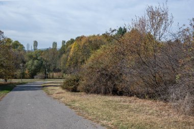 Bulgaristan 'ın Sofya kentindeki South Park' ın şaşırtıcı sonbahar manzarası