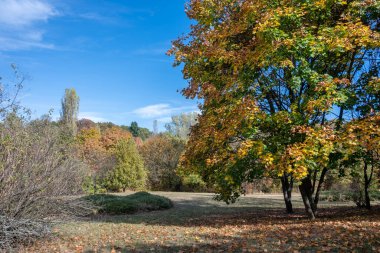 Bulgaristan 'ın Sofya kentindeki South Park' ın şaşırtıcı sonbahar manzarası