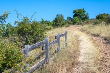 Amazing Summer Landscape of Rudina mountain, Pernik Region, Bulgaria clipart