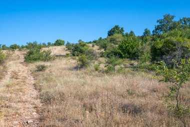 Rudina Dağı, Pernik Bölgesi, Bulgaristan 'ın İnanılmaz Yaz Manzarası