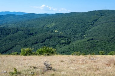 Amazing Summer Landscape of Rudina mountain, Pernik Region, Bulgaria clipart