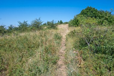 Rudina Dağı, Pernik Bölgesi, Bulgaristan 'ın İnanılmaz Yaz Manzarası