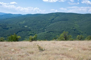 Amazing Summer Landscape of Rudina mountain, Pernik Region, Bulgaria clipart