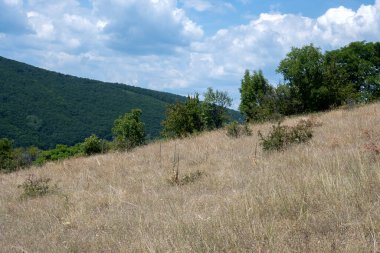 Rudina Dağı, Pernik Bölgesi, Bulgaristan 'ın İnanılmaz Yaz Manzarası