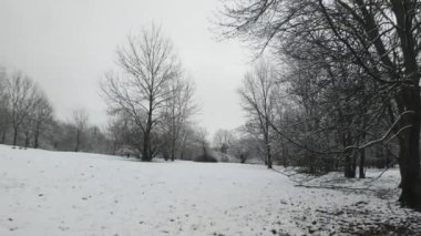 Bulgaristan 'ın Sofya kentindeki South Park' ın şaşırtıcı kış manzarası