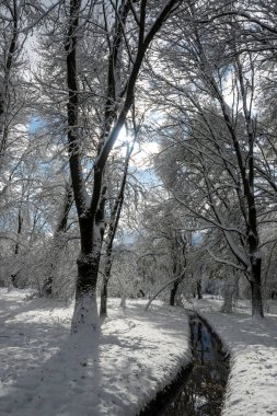 Bulgaristan 'ın Sofya kentindeki South Park' ın şaşırtıcı kış manzarası