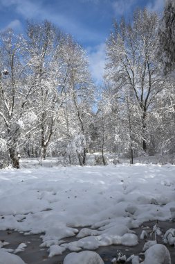 Bulgaristan 'ın Sofya kentindeki South Park' ın şaşırtıcı kış manzarası