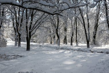 Bulgaristan 'ın Sofya kentindeki South Park' ın şaşırtıcı kış manzarası