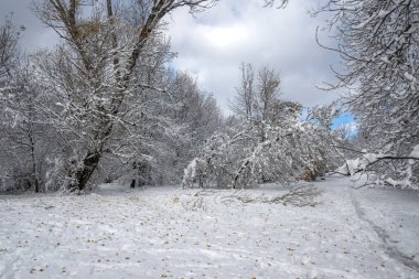 Bulgaristan 'ın Sofya kentindeki South Park' ın şaşırtıcı kış manzarası