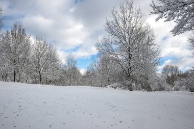 Bulgaristan 'ın Sofya kentindeki South Park' ın şaşırtıcı kış manzarası