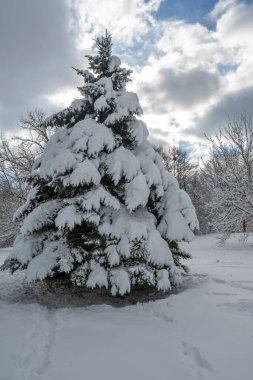 Bulgaristan 'ın Sofya kentindeki South Park' ın şaşırtıcı kış manzarası