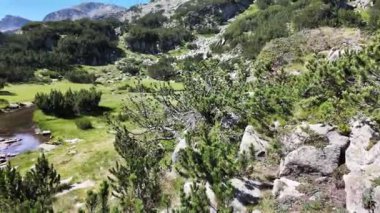 Bulgaristan 'ın Pirin Dağı' ndaki Banderitsa Nehri yakınlarındaki inanılmaz manzara