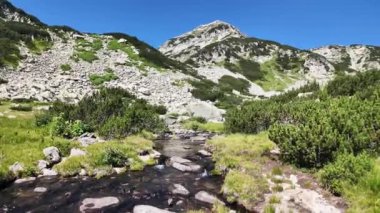 Bulgaristan 'ın Pirin Dağı' ndaki Banderitsa Nehri yakınlarındaki inanılmaz manzara