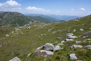 Bulgaristan 'ın Kalin tepeleri yakınlarındaki Rila Dağı' nın İnanılmaz Yaz Manzarası