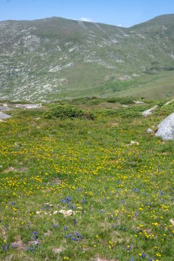 Bulgaristan 'ın Kalin tepeleri yakınlarındaki Rila Dağı' nın İnanılmaz Yaz Manzarası