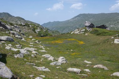 Bulgaristan 'ın Kalin tepeleri yakınlarındaki Rila Dağı' nın İnanılmaz Yaz Manzarası