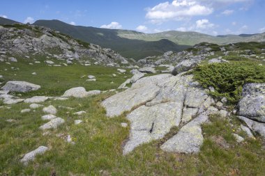 Bulgaristan 'ın Kalin tepeleri yakınlarındaki Rila Dağı' nın İnanılmaz Yaz Manzarası