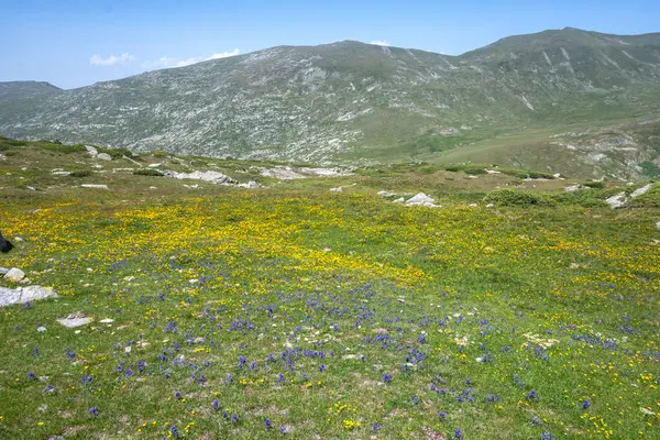 stock image Amazing Summer Landscape of Rila Mountain near Kalin peaks, Bulgaria