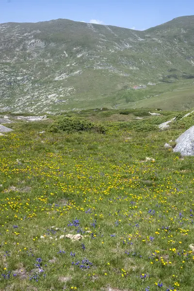 Bulgaristan 'ın Kalin tepeleri yakınlarındaki Rila Dağı' nın İnanılmaz Yaz Manzarası