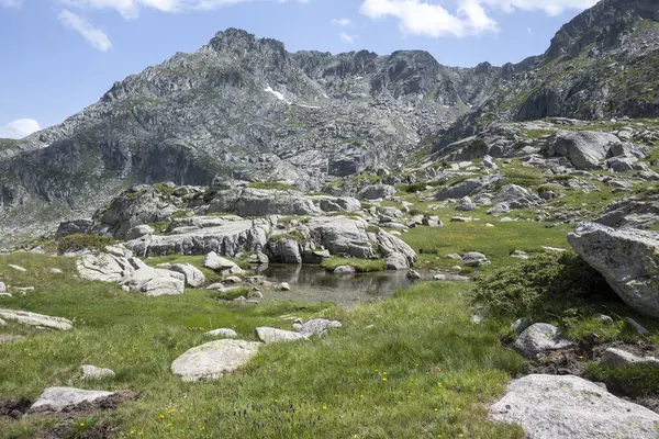 Bulgaristan 'ın Kalin tepeleri yakınlarındaki Rila Dağı' nın İnanılmaz Yaz Manzarası