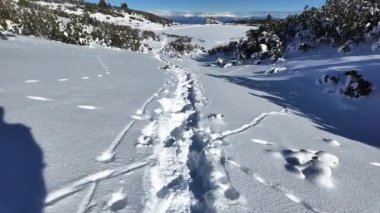Bulgaristan 'ın Polezhan ve Bezbog Tepeleri yakınlarındaki Pirin Dağı' nın muhteşem kış manzarası