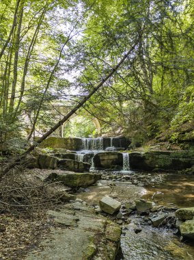Bulgaristan 'ın Filibe bölgesindeki Rhodopes Dağı' nda Sitovo Şelalesi Panoraması