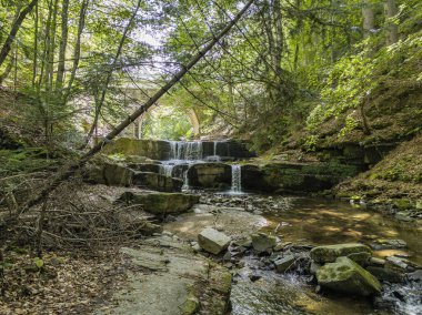 Bulgaristan 'ın Filibe bölgesindeki Rhodopes Dağı' nda Sitovo Şelalesi Panoraması
