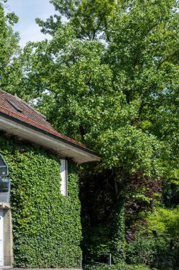 Eski şehir Lozan 'ın Panoraması, Vaud Kantonu, İsviçre