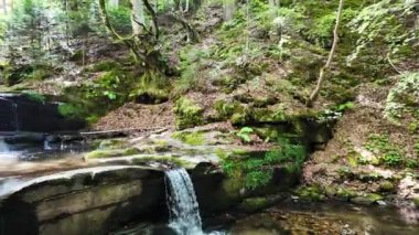 Bulgaristan 'ın Filibe bölgesindeki Rhodopes Dağı' nda Sitovo Şelalesi Panoraması