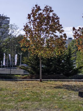 SOFYA, BULGARIA - 12 Eylül 2024: Bulgaristan 'ın Ulusal Kültür Sarayı etrafındaki Sofya Şehri' nin inanılmaz manzarası