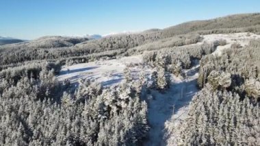 Bulgaristan 'ın Rila ve Rhodopes dağı arasındaki Yundola bölgesinin şaşırtıcı kışı manzarası