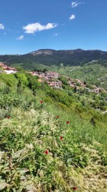 Yunanistan 'ın Epirus Bölgesi' nin Ioannina kenti yakınlarındaki Metsovo köyünün yaylı manzarası