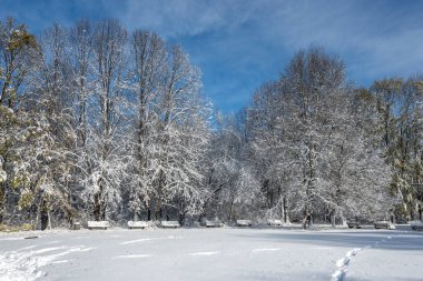 Bulgaristan 'ın Sofya kentinde ağaçlarla kaplı South Park Kış Panoraması