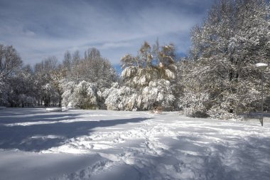 Bulgaristan 'ın Sofya kentinde ağaçlarla kaplı South Park Kış Panoraması