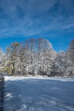 Bulgaristan 'ın Sofya kentinde ağaçlarla kaplı South Park Kış Panoraması