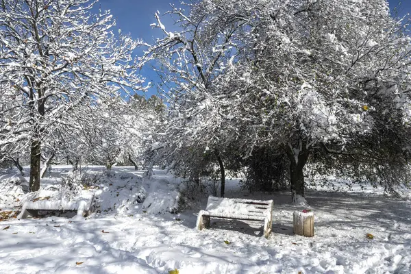 Bulgaristan 'ın Sofya kentinde ağaçlarla kaplı South Park Kış Panoraması