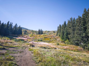 Bulgaristan 'ın Vitosha Dağı' nın şaşırtıcı sonbahar manzarası
