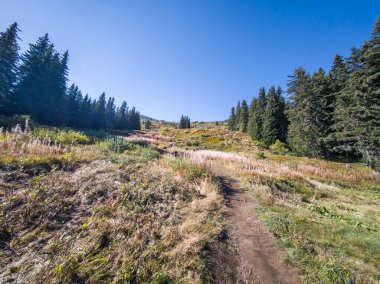 Bulgaristan 'ın Vitosha Dağı' nın şaşırtıcı sonbahar manzarası