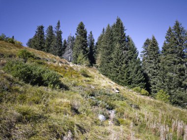 Bulgaristan 'ın Vitosha Dağı' nın şaşırtıcı sonbahar manzarası
