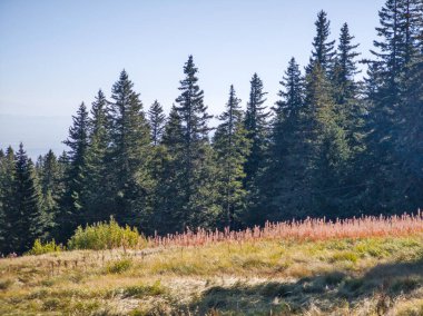 Amazing Autumn panorama of Vitosha Mountain, Bulgaria